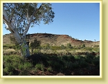 Pilbara 2008 026